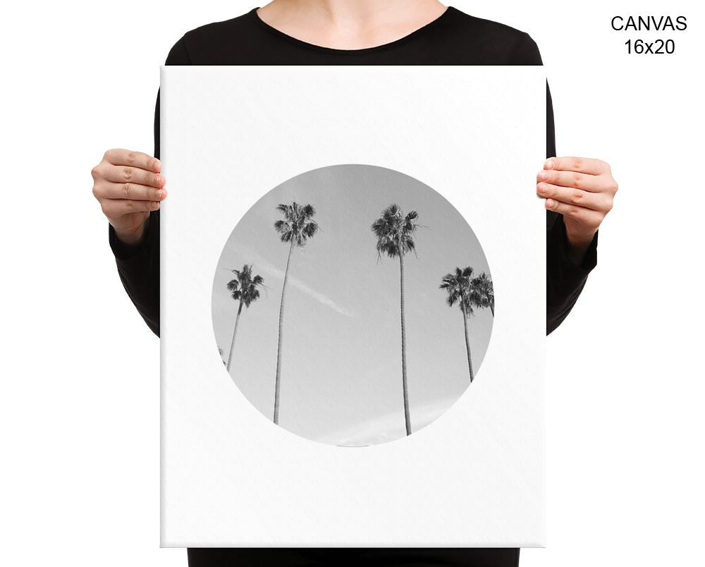 Palm Photography Print, Beautiful Wall Art with Frame and Canvas options available  Decor