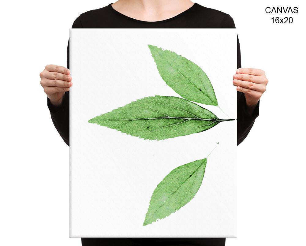 Leaf Print, Beautiful Wall Art with Frame and Canvas options available Nature Decor