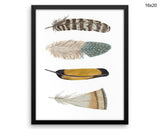 Feathers Print, Beautiful Wall Art with Frame and Canvas options available Home Decor