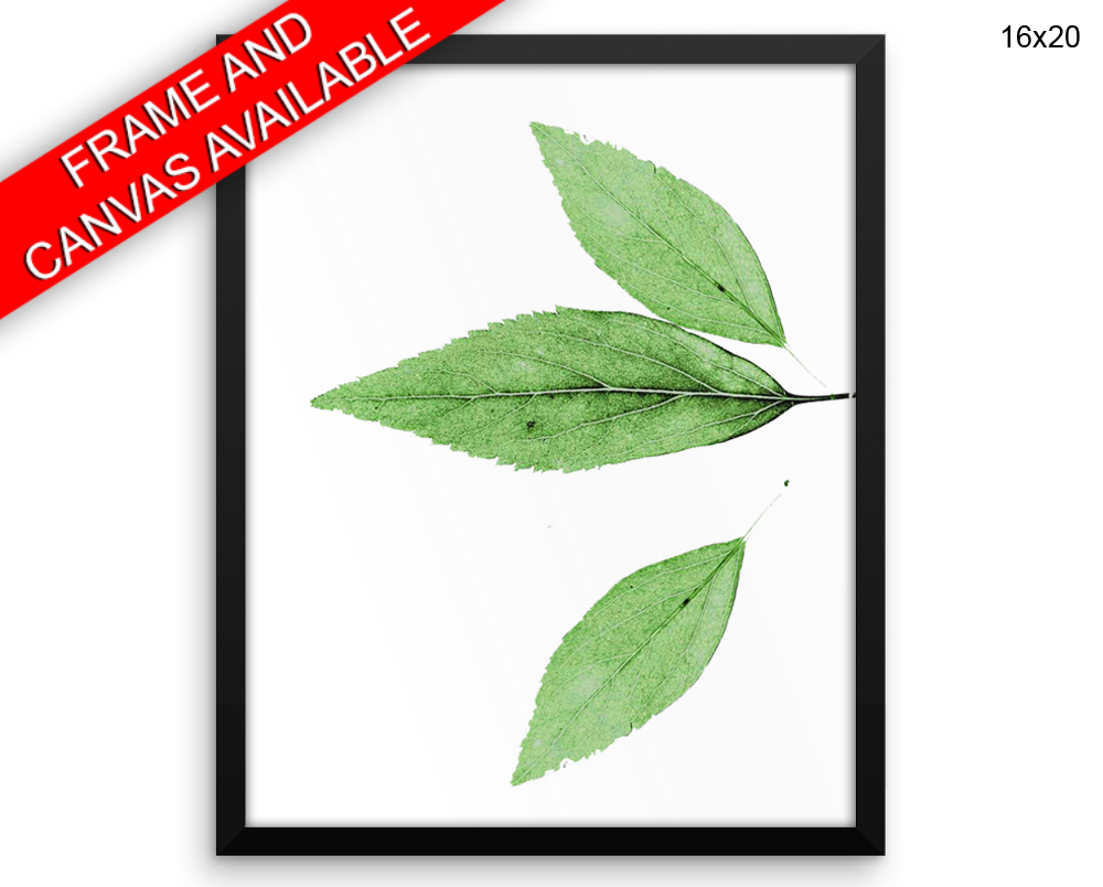 Leaf Print, Beautiful Wall Art with Frame and Canvas options available Nature Decor