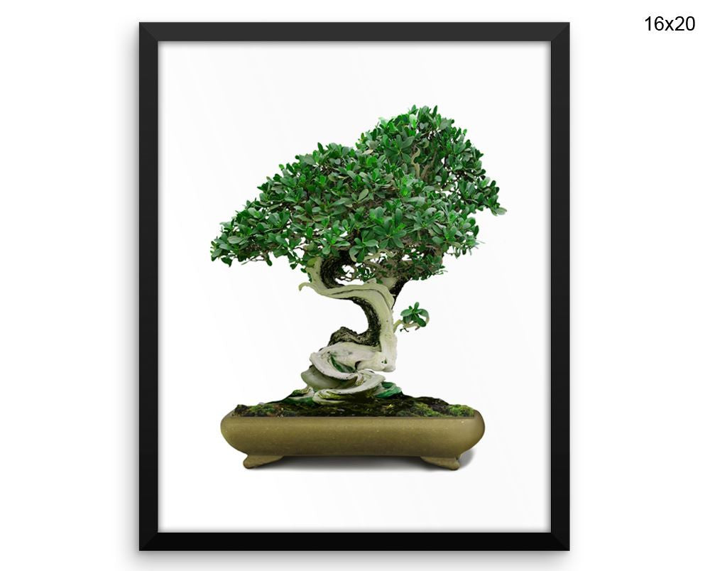 Bonsai Print, Beautiful Wall Art with Frame and Canvas options available Home Decor