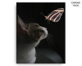 Cat Butterfly Print, Beautiful Wall Art with Frame and Canvas options available Living Room Decor