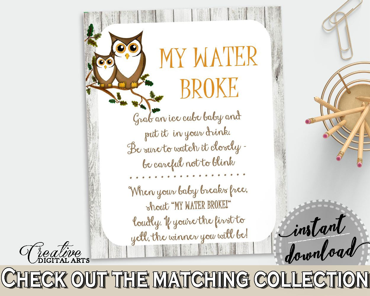 My Water Broke Baby Shower My Water Broke Owl Baby Shower My Water Broke Baby Shower Owl My Water Broke Gray Brown - 9PUAC - Digital Product