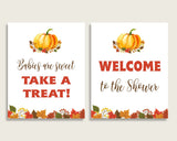 Table Signs Baby Shower Table Signs Fall Baby Shower Table Signs Baby Shower Pumpkin Table Signs Orange Brown digital download BPK3D - Digital Product