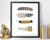 Wall Art Feathers Digital Print Feathers Poster Art Feathers Wall Art Print Feathers Home Art Feathers Home Print Feathers Wall Decor - Digital Download