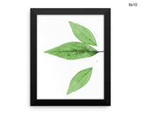Leaf Print, Beautiful Wall Art with Frame and Canvas options available Nature Decor
