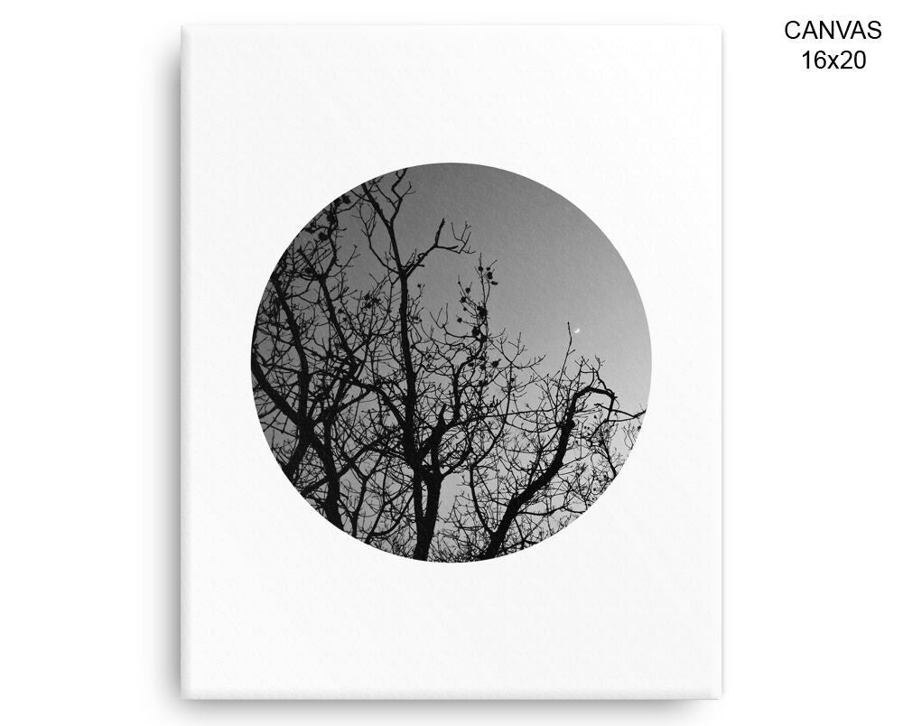 Trees Dusk Print, Beautiful Wall Art with Frame and Canvas options available Photography Decor