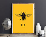 Wall Art Fly Digital Print Fly Poster Art Fly Wall Art Print Fly Home Art Fly Home Print Fly Wall Decor Fly insect - Digital Download