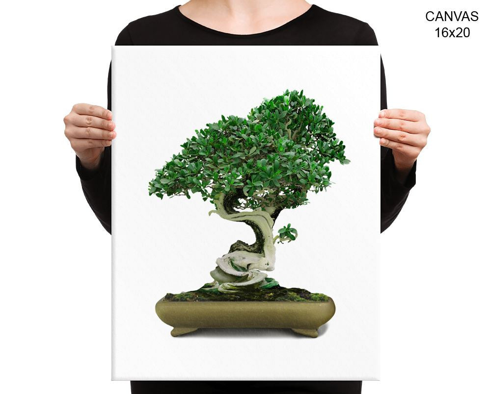 Bonsai Print, Beautiful Wall Art with Frame and Canvas options available Home Decor