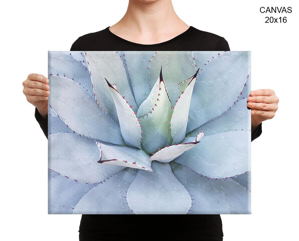 Cactus Print, Beautiful Wall Art with Frame and Canvas options available Natural Decor