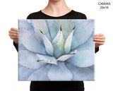 Cactus Print, Beautiful Wall Art with Frame and Canvas options available Natural Decor