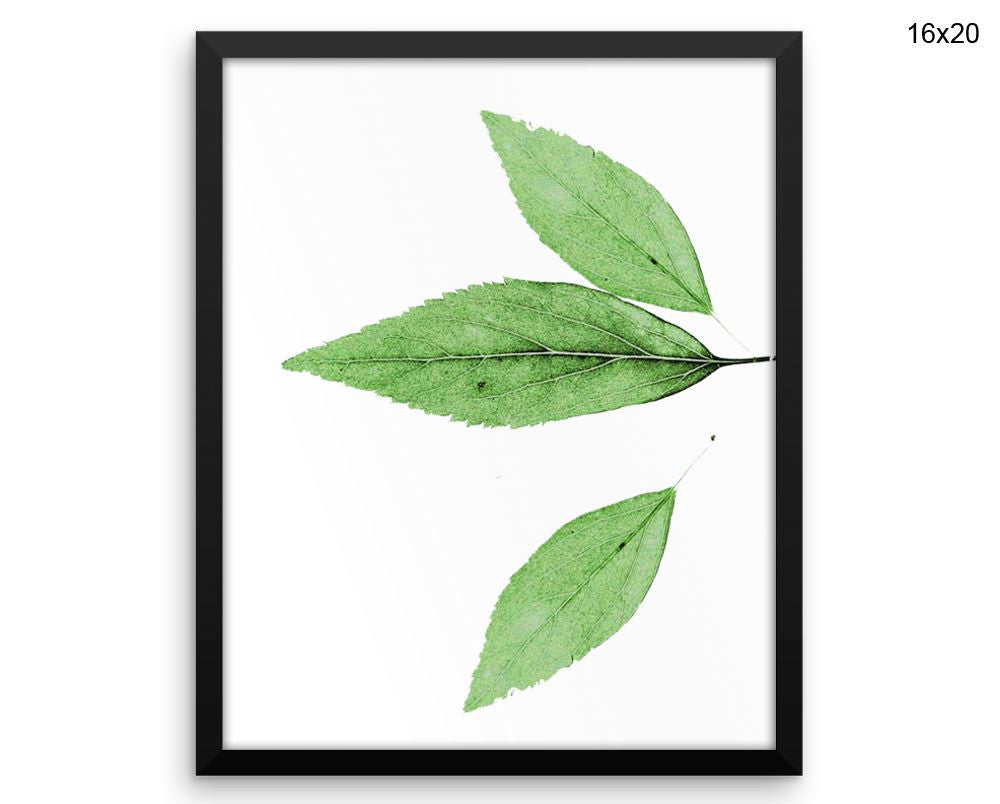 Leaf Print, Beautiful Wall Art with Frame and Canvas options available Nature Decor