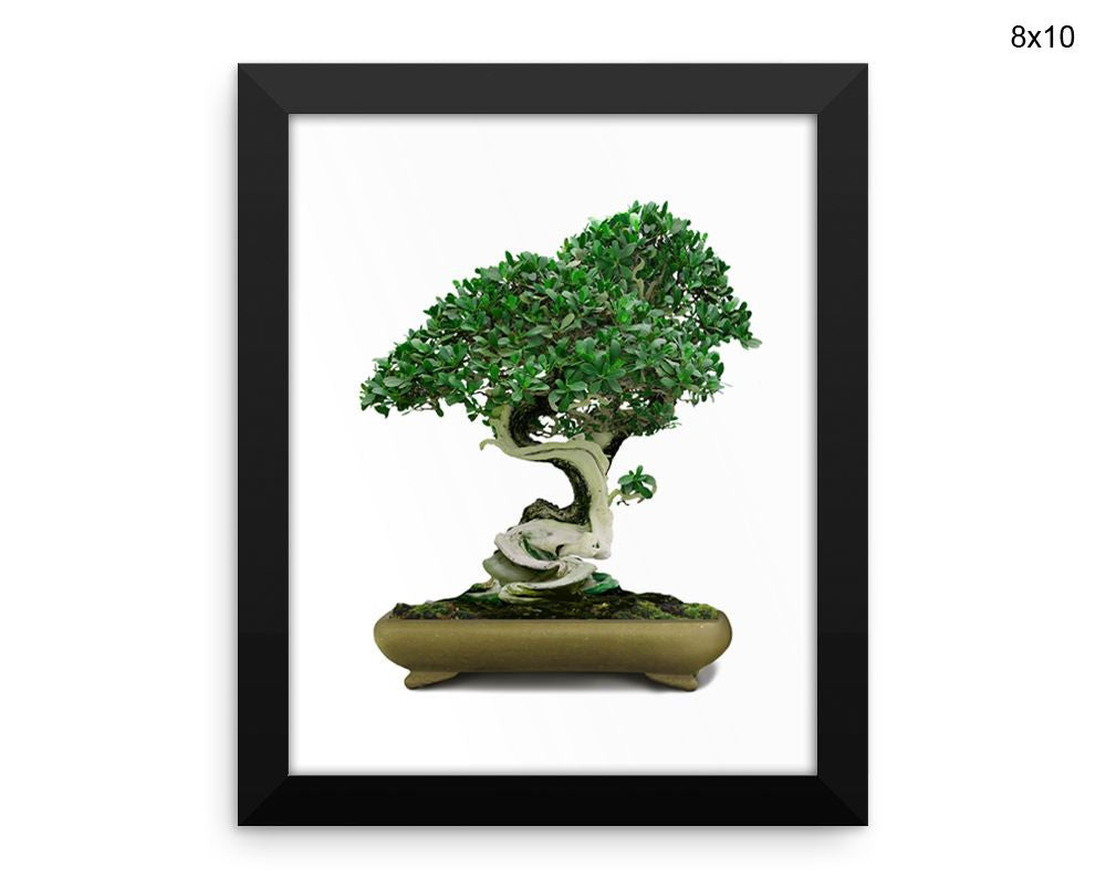 Bonsai Print, Beautiful Wall Art with Frame and Canvas options available Home Decor