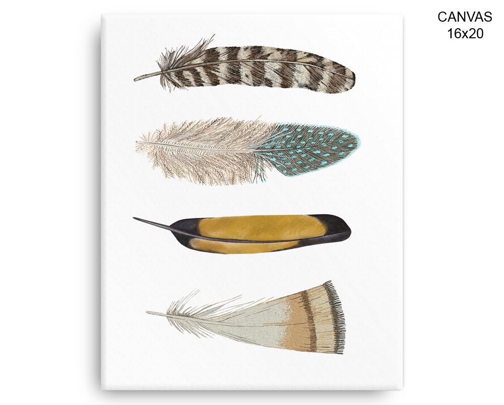 Feathers Print, Beautiful Wall Art with Frame and Canvas options available Home Decor