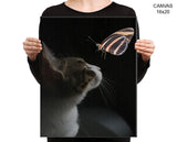 Cat Butterfly Print, Beautiful Wall Art with Frame and Canvas options available Living Room Decor