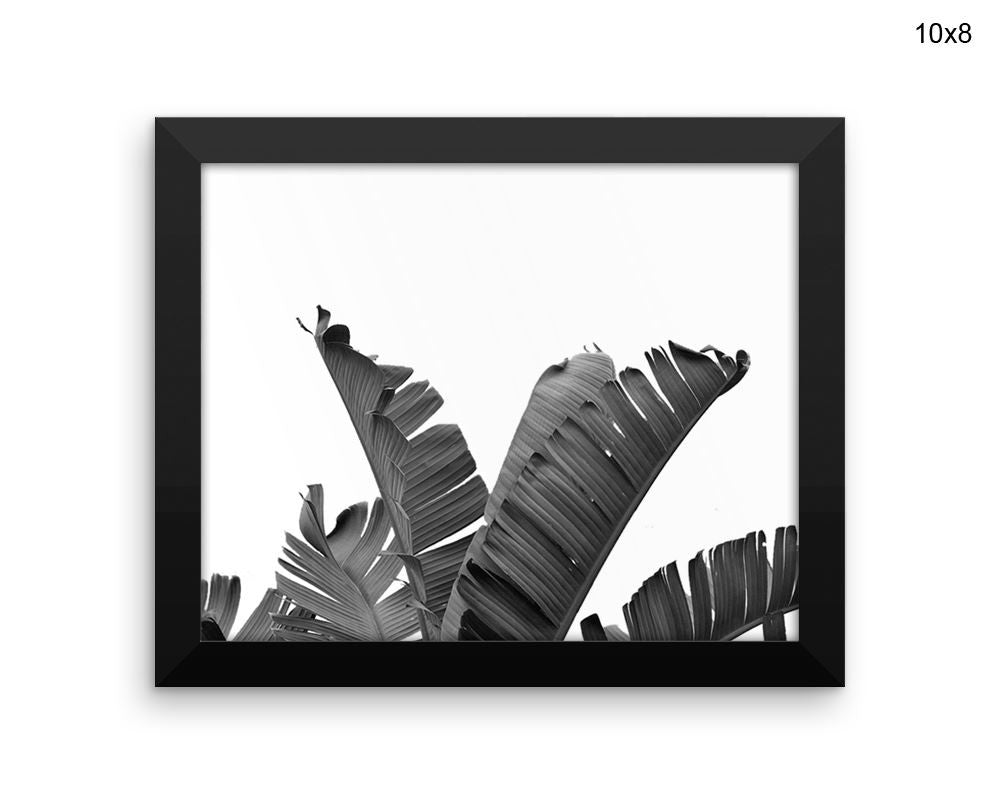 Banana Leaf Print, Beautiful Wall Art with Frame and Canvas options available Fruit Decor