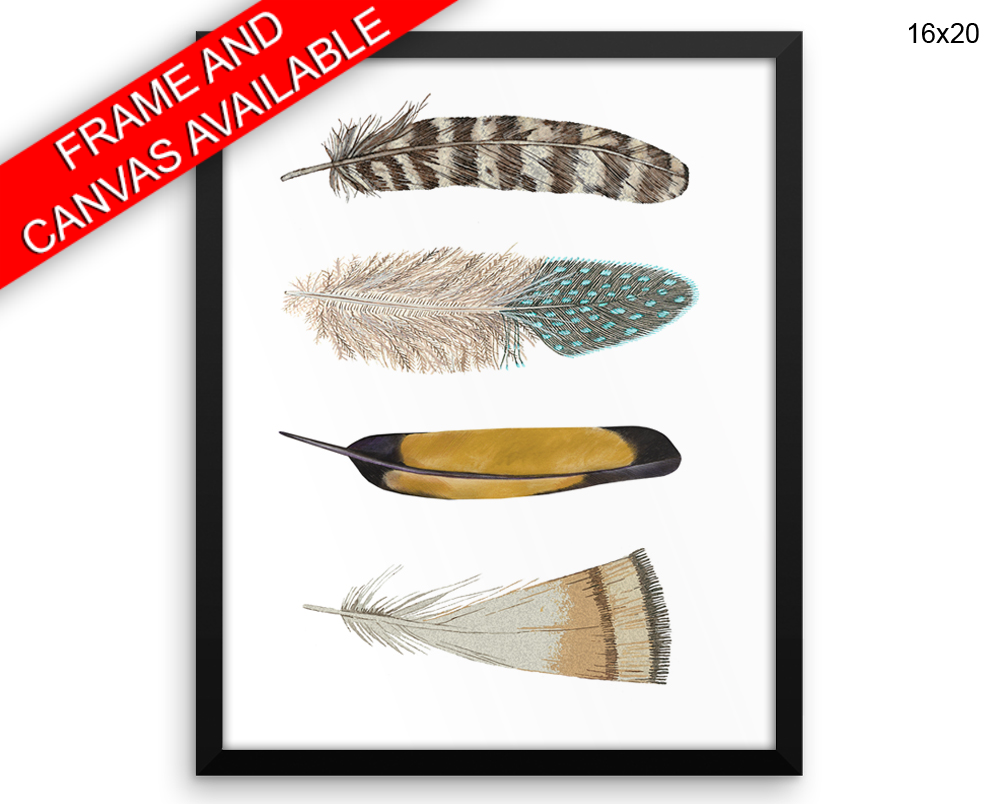 Feathers Print, Beautiful Wall Art with Frame and Canvas options available Home Decor