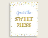 Sweet Mess Baby Shower Sweet Mess Confetti Baby Shower Sweet Mess Blue Gold Baby Shower Confetti Sweet Mess instant download prints cb001