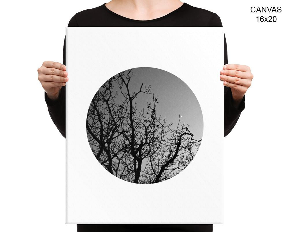 Trees Dusk Print, Beautiful Wall Art with Frame and Canvas options available Photography Decor