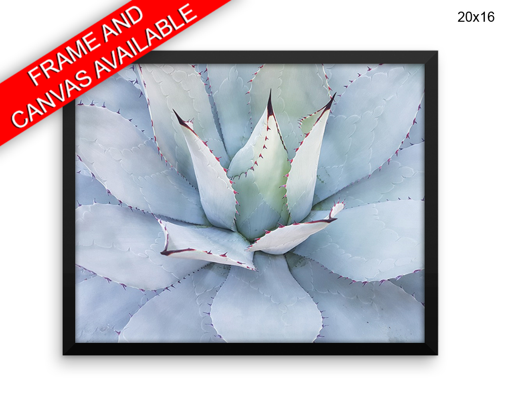 Cactus Print, Beautiful Wall Art with Frame and Canvas options available Natural Decor