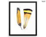 Feathers Print, Beautiful Wall Art with Frame and Canvas options available Bedroom Decor