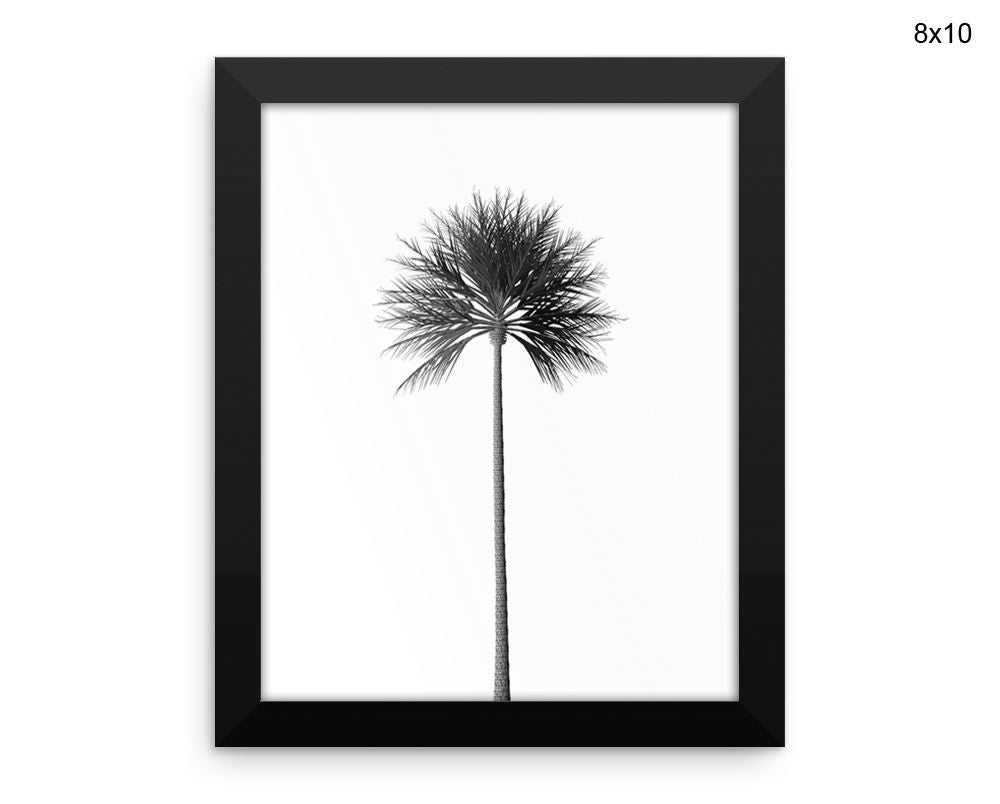 Palm Tree Print, Beautiful Wall Art with Frame and Canvas options available Photography Decor