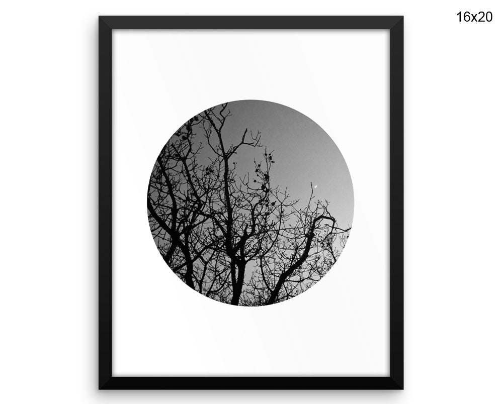 Trees Dusk Print, Beautiful Wall Art with Frame and Canvas options available Photography Decor