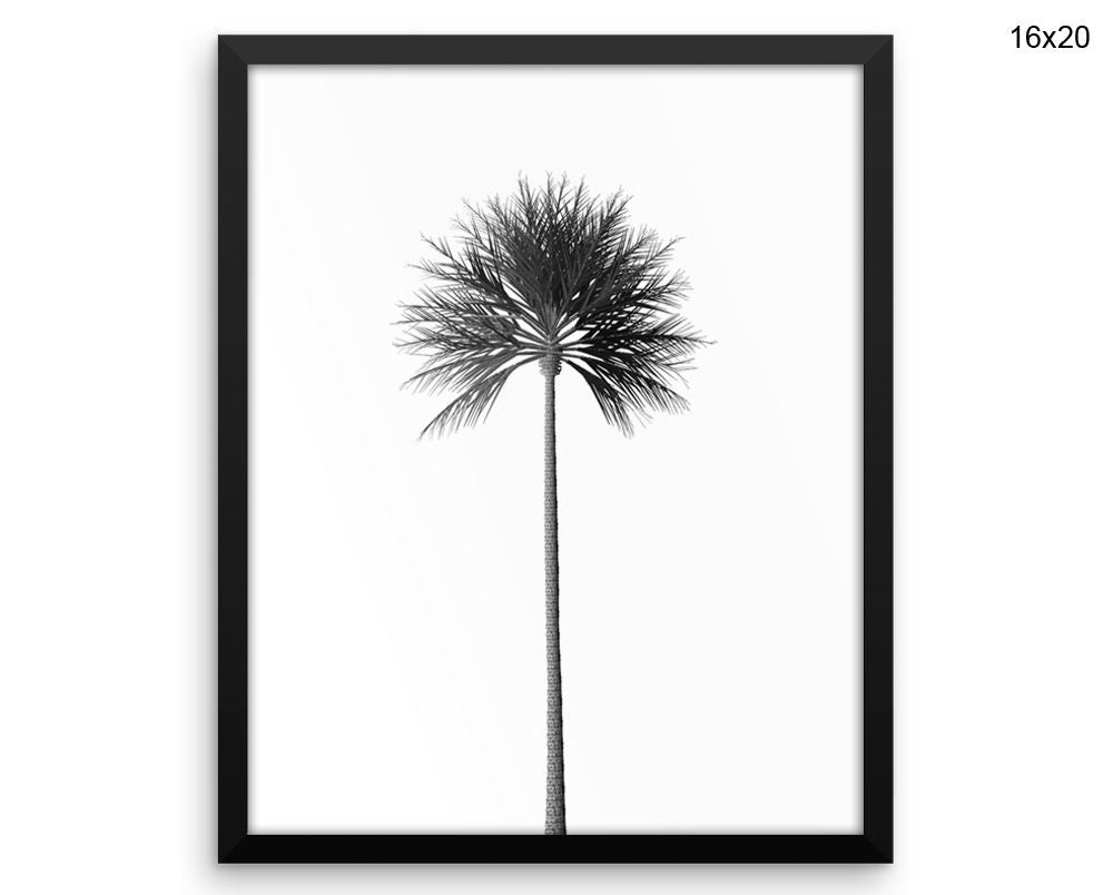 Palm Tree Print, Beautiful Wall Art with Frame and Canvas options available Photography Decor