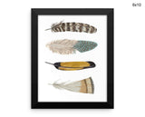 Feathers Print, Beautiful Wall Art with Frame and Canvas options available Home Decor