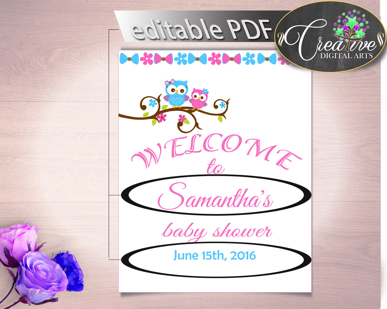 Welcome Sign Baby Shower Welcome Sign Owl Baby Shower Welcome Sign Baby Shower Owl Welcome Sign Pink Blue party organization prints owt01