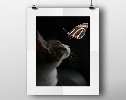 Wall Art Butterfly Digital Print Cat Poster Art Butterfly Wall Art Print Cat Living Room Art Cat Living Room Print Butterfly Wall Decor - Digital Download